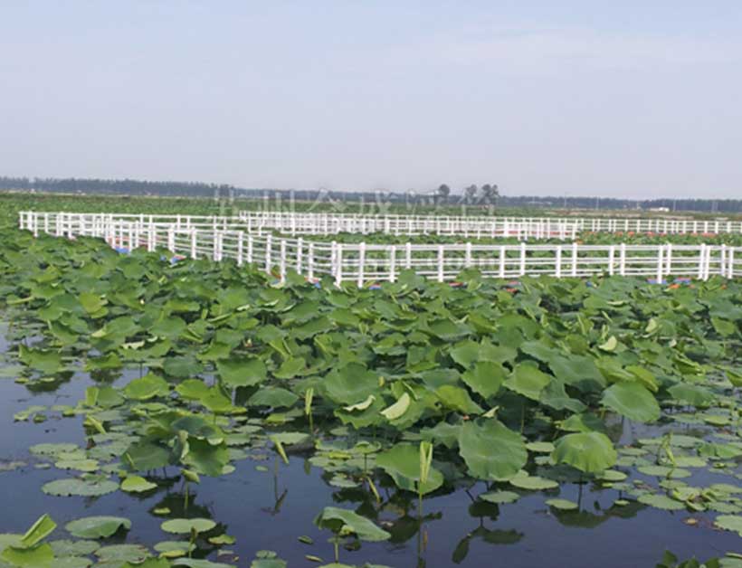 江苏荷花池水上浮桥